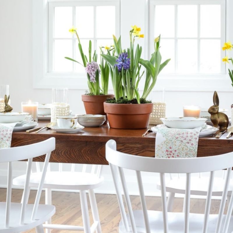 plants and white chairs