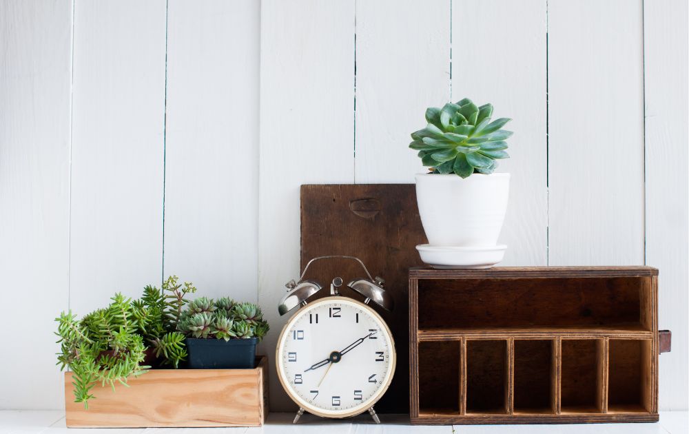 clock and plants