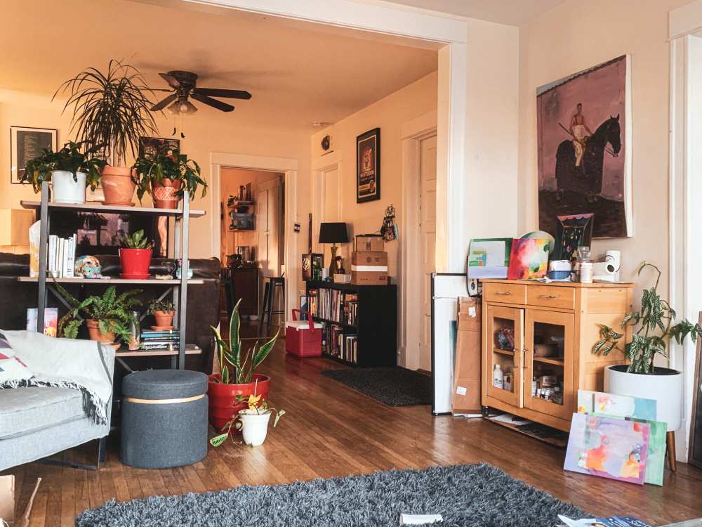 living room with plants and drawers