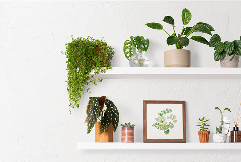 floating shelves